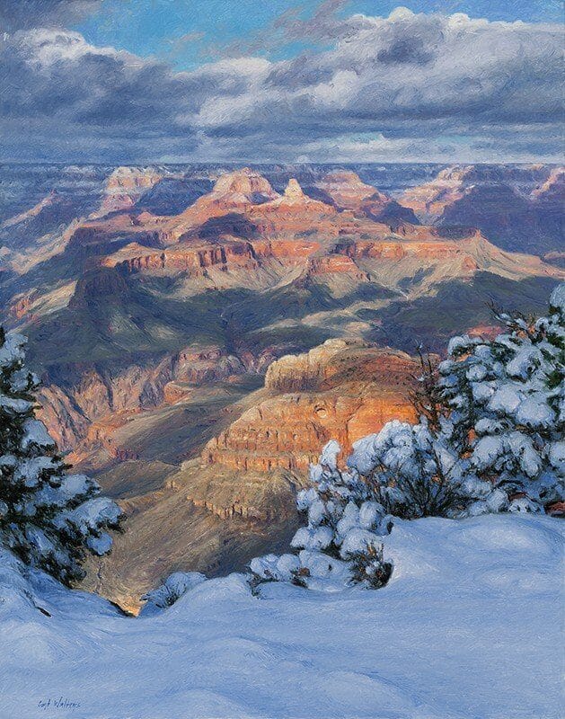 Clearing on the Kaibab